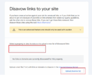 SEO company in Kochi Kerala